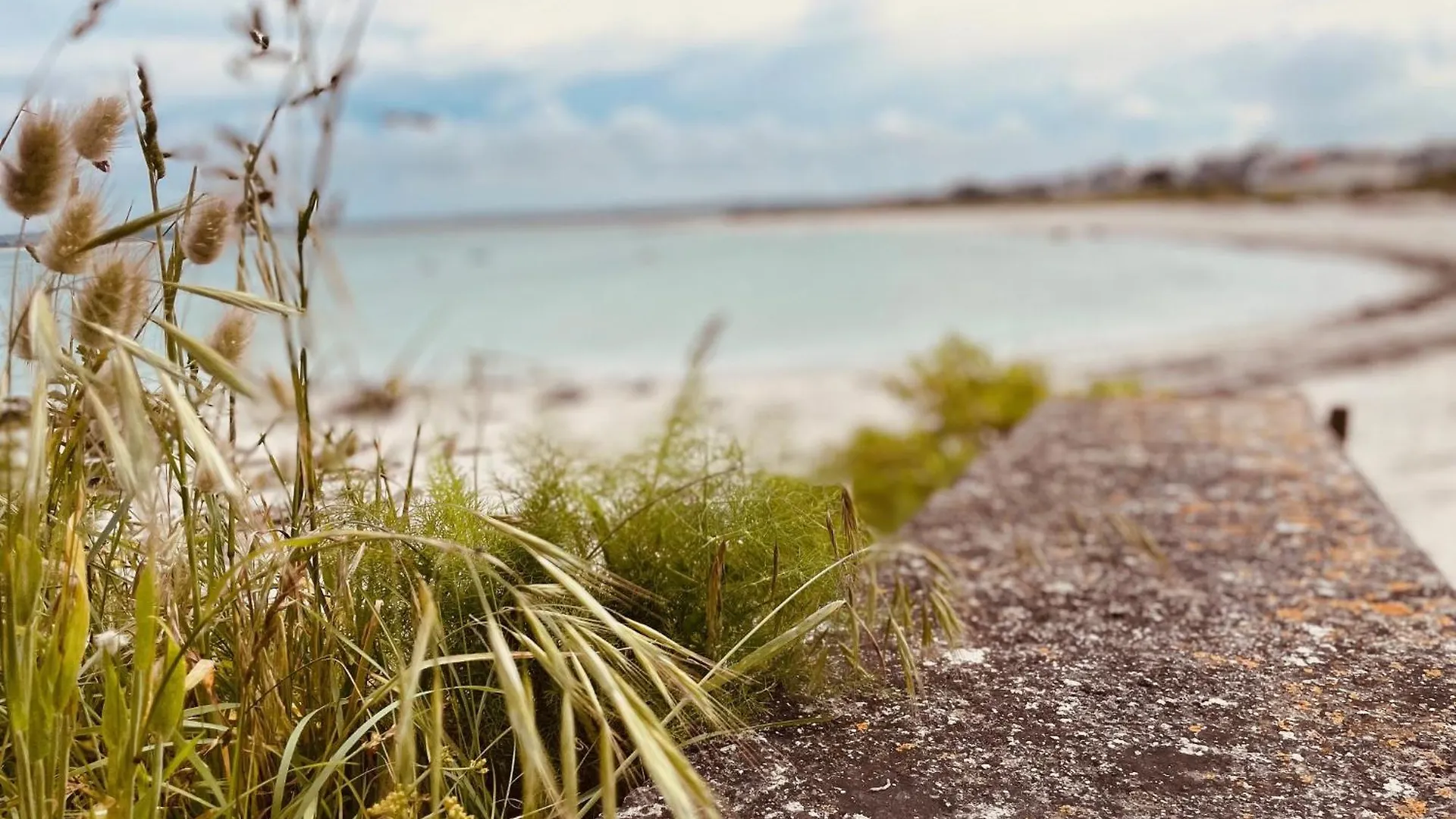 Hébergement de vacances Villa Ty Billig à Plounéour-Trez